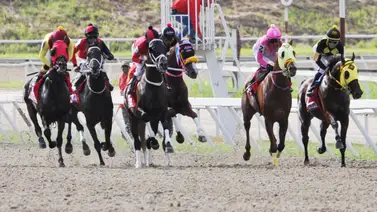 Aficionado hípico: Esta hija de Roger Rocket que en su última fue una de las principales favoritas regresa al óvalo de La Rinconada luego de 161 días sin correr Aficionado hípico: Esta hija de Roger Rocket que en su última fue una de las principales favoritas regresa al óvalo de La Rinconada luego de 161 días sin correr