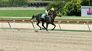 Cuidado que regresa la ganadora selectiva en un tiro el cual ha ganado en dos ocasiones en La Rinconada Cuidado que regresa la ganadora selectiva en un tiro el cual ha ganado en dos ocasiones en La Rinconada