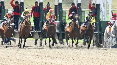 Importante: Conoce la nómina para la condicional especial para yeguas nacionales e importadas de la reunión 26 Importante: Conoce la nómina para la condicional especial para yeguas nacionales e importadas de la reunión 26