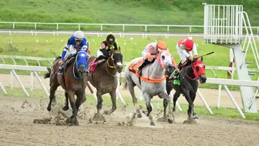 Vuelve el dato atrasado: Hijo de Constructor White regresa a La Rinconada tras 315 días de inactividad Vuelve el dato atrasado: Hijo de Constructor White regresa a La Rinconada tras 315 días de inactividad