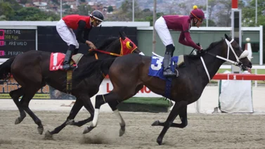 Yegua Black Widow (número 3) cuando ganó el Clásico Lavandera el 17 de junio de 2018 en La Rinconada.