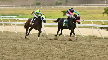 La favorita para repetir: Hija de Champlain de vuelta en La Rinconada tras su parada de 12 semanas La favorita para repetir: Hija de Champlain de vuelta en La Rinconada tras su parada de 12 semanas