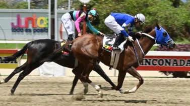 Pendiente: Yegua que viene de dos victorias consecutivas retorna a La Rinconada luego de 105 días sin correr