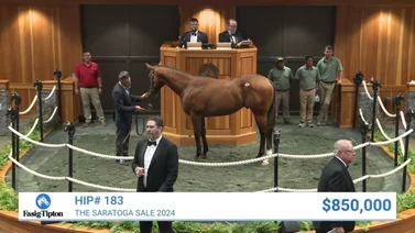 Este martes inicia las subastas de yearlings de Fasig Tipton (+En vivo )