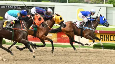 A la caza de su primer triunfo del año: Yegua que puede sorprender en la R26 retorna luego de 133 días sin correr A la caza de su primer triunfo del año: Yegua que puede sorprender en la R26 retorna luego de 133 días sin correr