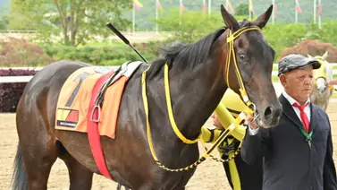 La Rinconada se prepara: Esta hija de Vacation que en su última arrojó un tremendo dividendo vuelve a la pista tras 119 días sin correr La Rinconada se prepara: Esta hija de Vacation que en su última arrojó un tremendo dividendo vuelve a la pista tras 119 días sin correr