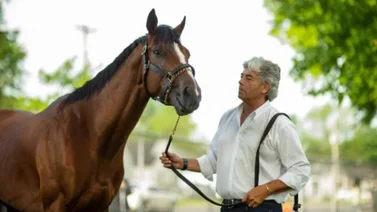 A solo un triunfo: Gustavo Delgado busca su victoria número 300 en Estados Unidos