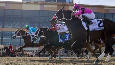 Dividendos por las nubes: Parx Racing desafió a todos los pronósticos en la jornada del martes