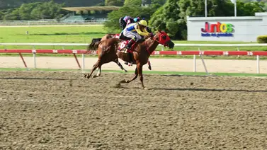 Así le fue a El Relámpago en su operación de esta mañana en La Rinconada Así le fue a El Relámpago en su operación de esta mañana en La Rinconada