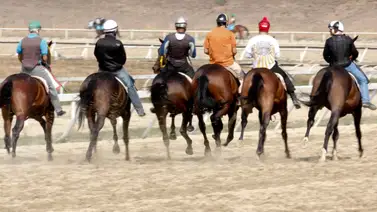 Último minuto: Se anuncia el retiro de dos ejemplares para el 5y6 dominical Último minuto: Se anuncia el retiro de dos ejemplares para el 5y6 dominical