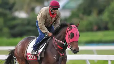 Daniel Coa quiere repetir victoria con este ejemplar en La Rinconada (+Video) Daniel Coa quiere repetir victoria con este ejemplar en La Rinconada (+Video)