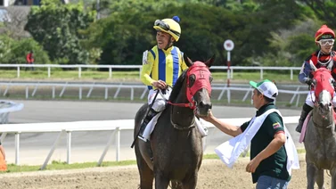 Junior Alvarado con 14 compromisos de montas en la primera semana de Saratoga