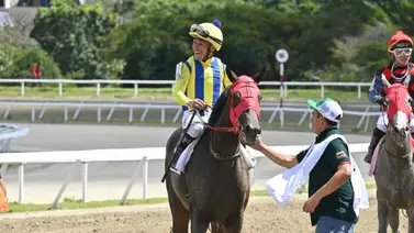 Junior Alvarado con 14 compromisos de montas en la primera semana de Saratoga Junior Alvarado con 14 compromisos de montas en la primera semana de Saratoga