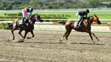 Victoria asegurada: Así queda el ajuste de la línea de Gaceta Hípica previo a su competencia para el 5y6 dominical Victoria asegurada: Así queda el ajuste de la línea de Gaceta Hípica previo a su competencia para el 5y6 dominical