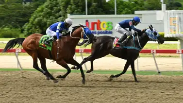 No te lo pierdas: Con el ajuste de la gran opción de Gaceta Hípica podrá triunfar a lo grande en la R26 No te lo pierdas: Con el ajuste de la gran opción de Gaceta Hípica podrá triunfar a lo grande en la R26