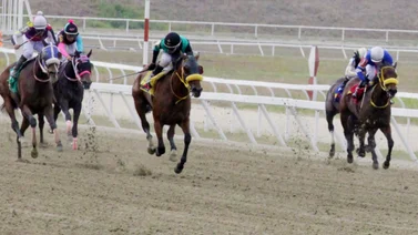 Atención: Mira el ajuste de la sorpresa de Gaceta Hípica para la carrera de los acumulados 