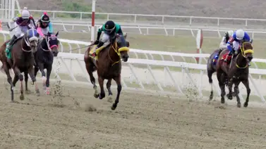 Atención: Mira el ajuste de la sorpresa de Gaceta Hípica para la carrera de los acumulados Atención: Mira el ajuste de la sorpresa de Gaceta Hípica para la carrera de los acumulados