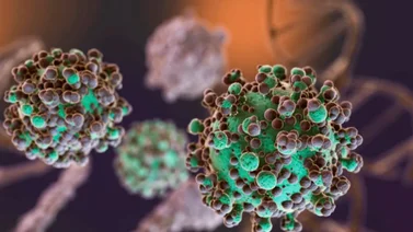 Virus Nipah: Mortalidad, síntomas y la preocupación global tras el fallecimiento de joven 