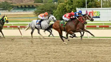 Más allá de lo esperado: Con un ajuste preciso del aparato podría cambiar el panorama en las carreras no válidas Más allá de lo esperado: Con un ajuste preciso del aparato podría cambiar el panorama en las carreras no válidas