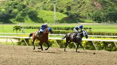 Con un ajuste contenido este ejemplar busca extender su racha de victorias en La Rinconada Con un ajuste contenido este ejemplar busca extender su racha de victorias en La Rinconada