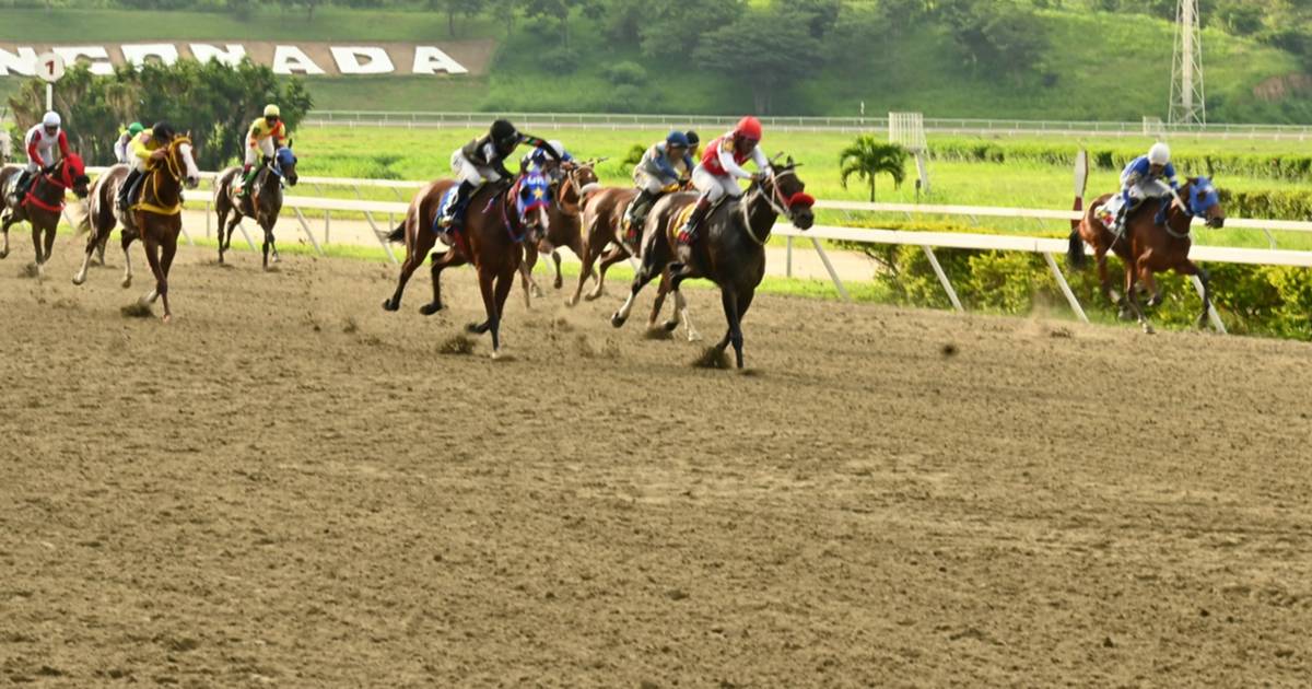 No te lo pierdas: El auténtico video del 5y6 protagoniza la carrera ...