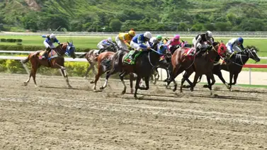 Muy pendientes que hay una yegua que se vio bien en su ajuste luego que le retiraran un implemento para la R26 Muy pendientes que hay una yegua que se vio bien en su ajuste luego que le retiraran un implemento para la R26