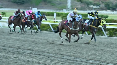 Yegua “invisible” para muchos quedó lista en su ajuste para retar a las favoritas de la décima carrera en La Rinconada 