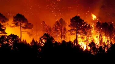 EEUU: Alerta extrema por incendios forestales en los siguientes estados