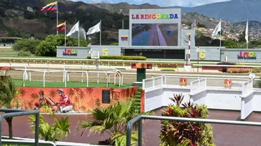 Favoritos de la cátedra para el 5y6 Nacional de la reunión N°26 en el hipódromo La Rinconada