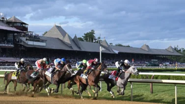 Hijo de Into Mischief que costó $1.400.000 debuta este fin de semana en jornada de stakes