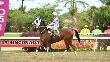 Corre la voz: Este ejemplar se perfila como el dato más corrido que todos quieren saber Corre la voz: Este ejemplar se perfila como el dato más corrido que todos quieren saber