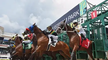 Datos de última hora que incluye el Best Bet y los Picks para la jornada en Gulfstream Park 11-7-2025 Datos de última hora que incluye el Best Bet y los Picks para la jornada en Gulfstream Park 11-7-2025