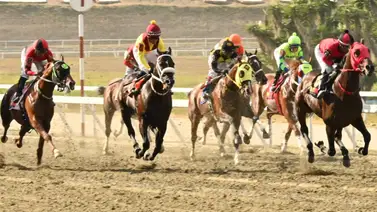 Alerta hípica: Te revelamos la yegua que es el "robo de toda Venezuela" para el 5y6 dominical Alerta hípica: Te revelamos la yegua que es el "robo de toda Venezuela" para el 5y6 dominical