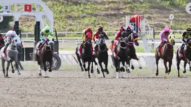 Análisis Exclusivo: Estos son los caballos con mayor potencial en La Rinconada para este domingo Análisis Exclusivo: Estos son los caballos con mayor potencial en La Rinconada para este domingo