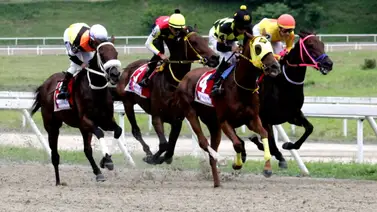 Más allá de las favoritas: Descubre la opción de alto dividendo que supera a María Bonita e Isométrica Más allá de las favoritas: Descubre la opción de alto dividendo que supera a María Bonita e Isométrica