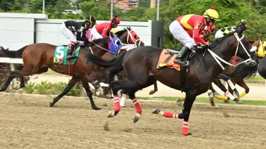 La clave oculta del 5y6: Aquí destapamos la información más "regada"para la quinta válida La clave oculta del 5y6: Aquí destapamos la información más "regada"para la quinta válida