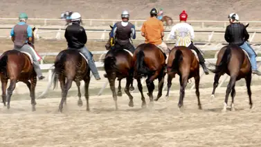 Estos son los retirados de la reunión 26 en La Rinconada 13-07-2025 Estos son los retirados de la reunión 26 en La Rinconada 13-07-2025