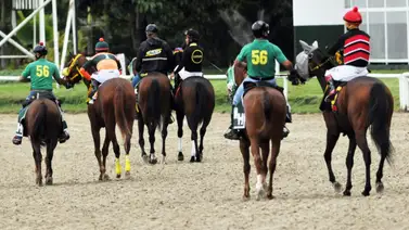 Atención hípicos: En la primera válida se presenta otro retiro Atención hípicos: En la primera válida se presenta otro retiro