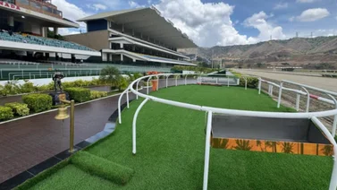 Datos de Última Hora para el Hipódromo La Rinconada 13-7-2025