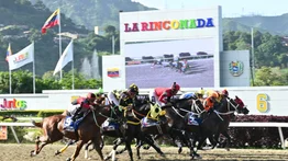 Conozcan los ejemplares venezolanos que se encuentran en este rating de la OSAF
