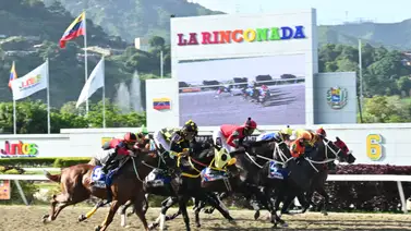 Conozcan los ejemplares venezolanos que se encuentran en este rating de la OSAF Conozcan los ejemplares venezolanos que se encuentran en este rating de la OSAF