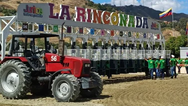 La polla hípica de La Rinconada: Los "No Favoritos" que podrían sorprender mañana