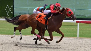 Batacazo en Gulfstream: Leonel Reyes Ramos abre la jornada con sorpresiva victoria