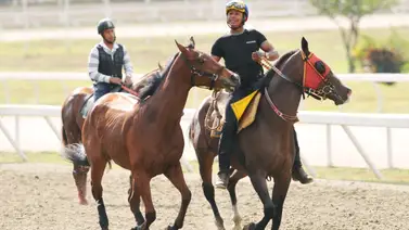 Último Momento en La Rinconada: Anuncian retiro de ejemplar en carrera no válida Último Momento en La Rinconada: Anuncian retiro de ejemplar en carrera no válida