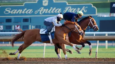 Journalism confirmó su estado para participar este fin de semana en el $1 millón que repartirá el Hanskel S. (G1) Journalism confirmó su estado para participar este fin de semana en el $1 millón que repartirá el Hanskel S. (G1)