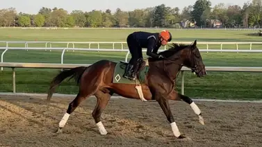 Sovereignty ajusta condiciones para su participación en el Jim Dandy (G2) por $500.000 Sovereignty ajusta condiciones para su participación en el Jim Dandy (G2) por $500.000