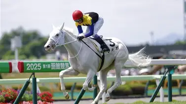 Otra nube blanca voladora: Media hermana de Sodashi debuta con victoria y récord de pista Otra nube blanca voladora: Media hermana de Sodashi debuta con victoria y récord de pista