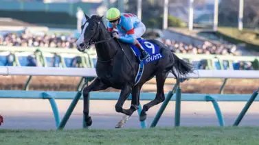 Este martes serán subastados los primeros potros del mejor caballo del mundo Equinox 2023 en las subastas de Japón Este martes serán subastados los primeros potros del mejor caballo del mundo Equinox 2023 en las subastas de Japón