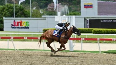 Darley busca la revancha en el III Clásico Gaceta Hípica este domingo en La Rinconada