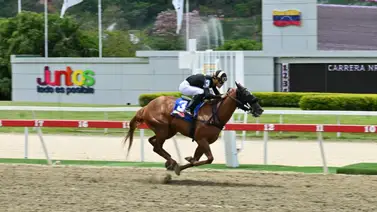 Darley busca la revancha en el III Clásico Gaceta Hípica este domingo en La Rinconada Darley busca la revancha en el III Clásico Gaceta Hípica este domingo en La Rinconada